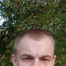 , 29, 