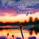 ���� Maxim, ���� - ��������� 4 ���� 2026 � ������ ������ ��������