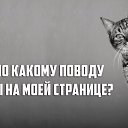  ,  -  11  2025    