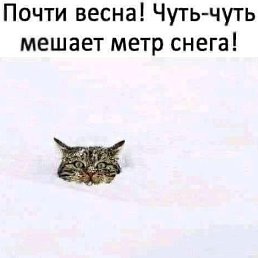 ���� ����, ������ �������� - ��������� 25 ������� 2024