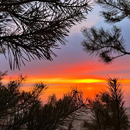 ���� ��������, ���� - ��������� 5 ������ 2026