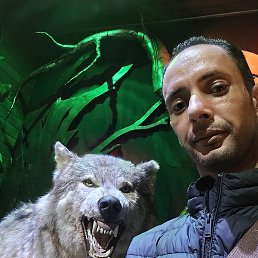 ������, ������, 41 ���