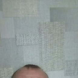, 41, 