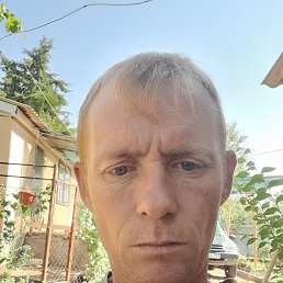 , 43 , --