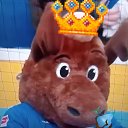 ���� Seksualnii, ������, 23 ���� - ��������� 8 ������� 2025 � ������ ���� ����������