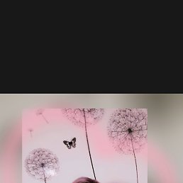 ���� �����, �����-���������, 47 ��� - ��������� 25 ������� 2025