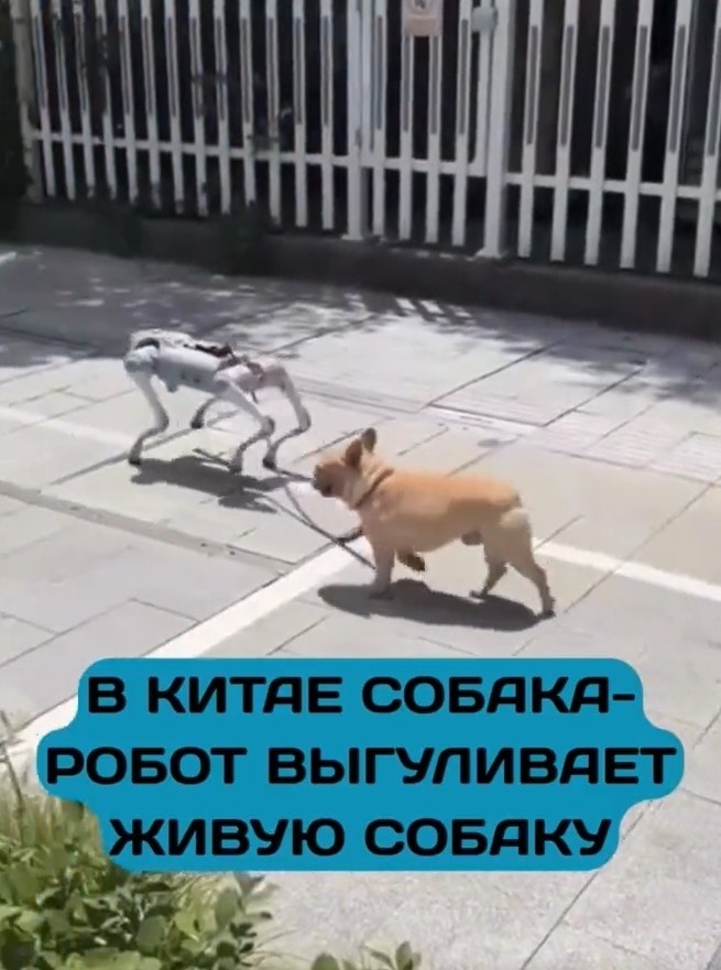 ae poo-c aee oa  ae aco coa. ae ooc eo, e poo-c ...