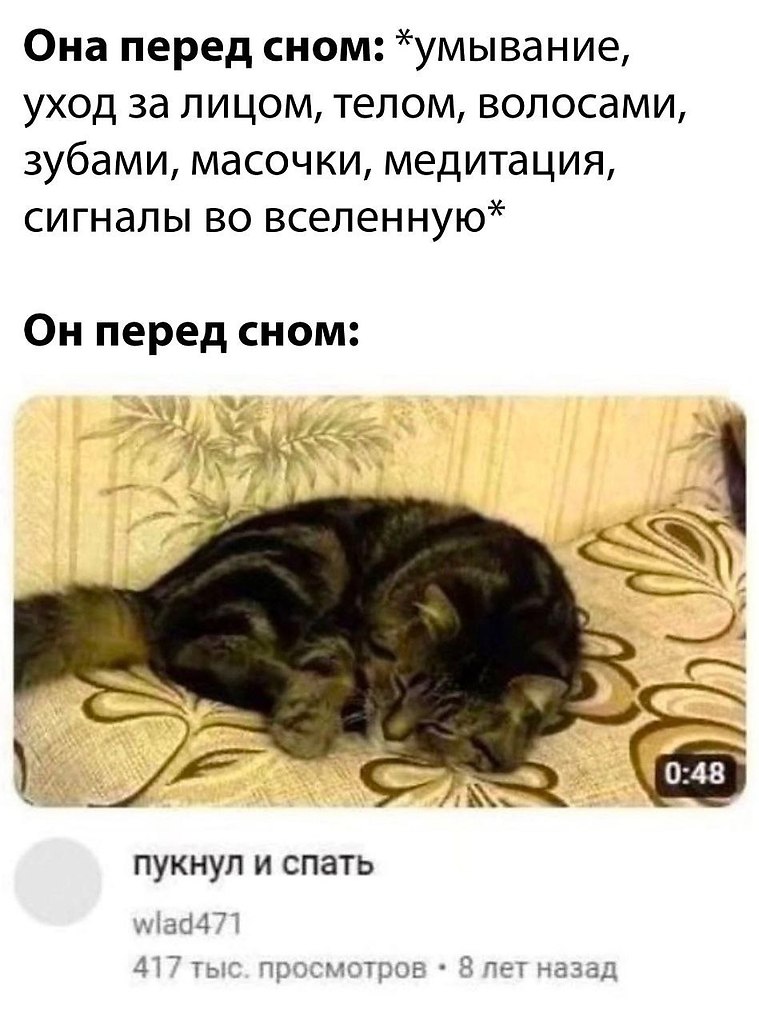 Планы на день картинки прикольные. Напердел коту под одеяло. Когда кота под одеяло и пердишь. Упоротые мемы. Напердел коту под одеяло.