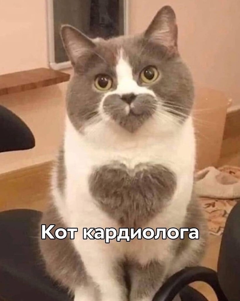       - 6  2025  14:42