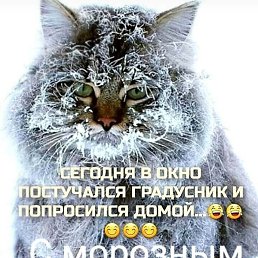����, �������, 50 ���