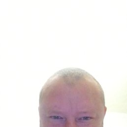 , 42, 