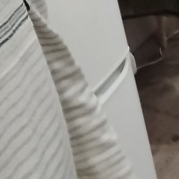 �����, �����, 54 ����