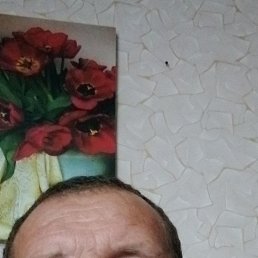 , 45 , 