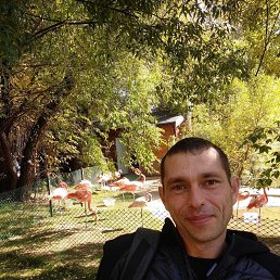Freedom, 43, 