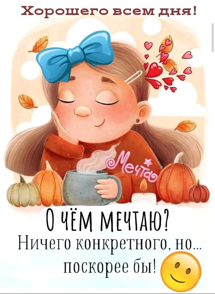   ,    . - 2  2024  22:52