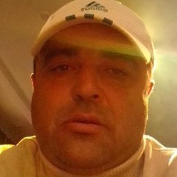 ����, ������, 41 ���