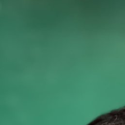 �����, ������, 52 ����