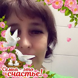 ��������, ���, 54 ����