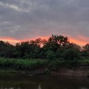 ���� �����, ������ - ��������� 29 ���� 2025 � ������ ������ ��������