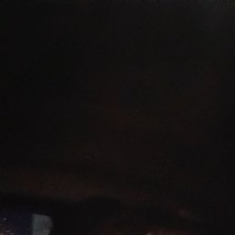 ������, 41 ���, �����