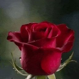 ���� �������, ����������, 45 ��� - ��������� 22 ������� 2025