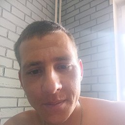 �����, 33 ����, �������