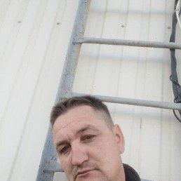 ������, �������, 33 ����