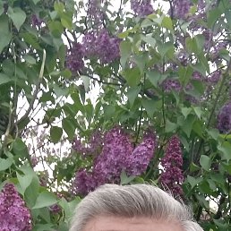 ����, 64 ����, ����