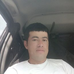 , 33, 