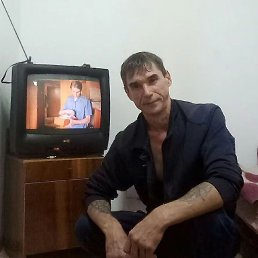 ����, �������, 49 ���