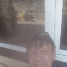 , 59, 