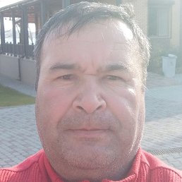 ��������, �����������, 44 ����