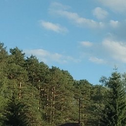 ������, ������, 39 ���