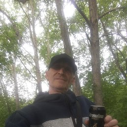 , 54, 
