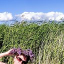 ���� �������, �����, 50 ��� - ��������� 8 ���� 2025 � ������ ���� ����������