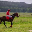 ���� �������, ����, 55 ��� - ��������� 29 ����� 2026