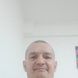 , 44, 