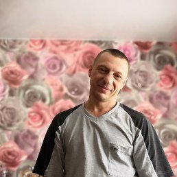 ��������, 44 ����, ����������