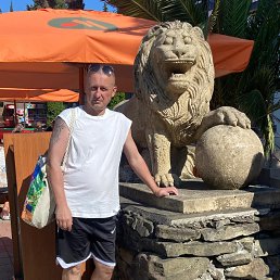 �����, 43 ����, ��������