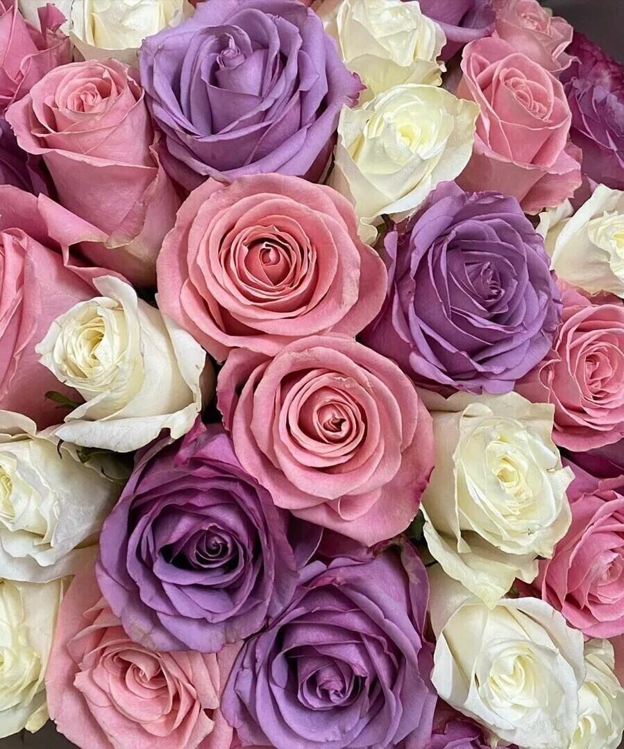  - 6  2023  23:17 - 8