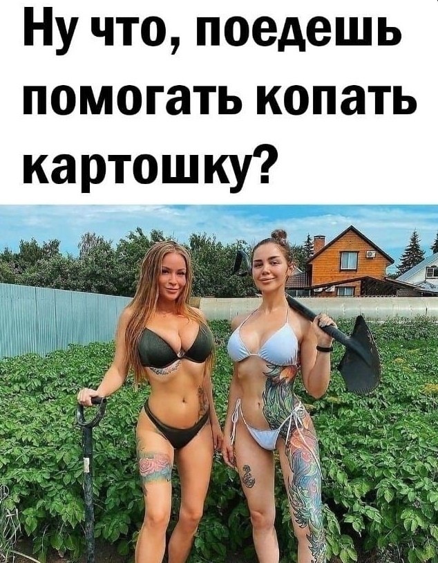   - 10  2025  17:04