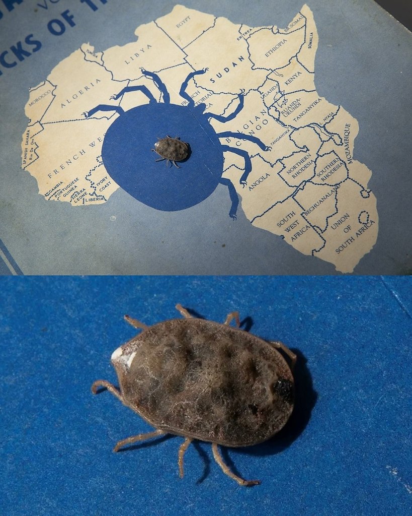       8    . ,  , ...