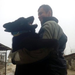 �������, ���������