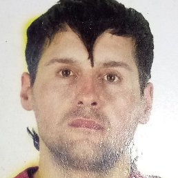 �����, ������� ��������, 41 ���