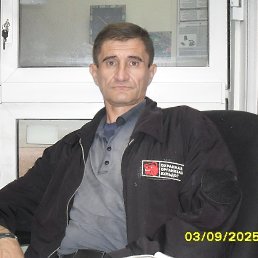 , 51, 
