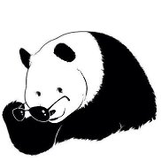 ���������, 49 ���, ������