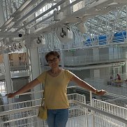 , 53 , 
