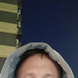 , 41, 
