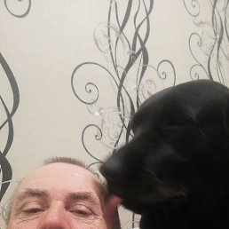 , 49, 