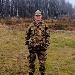 ����, 41 ���, ������